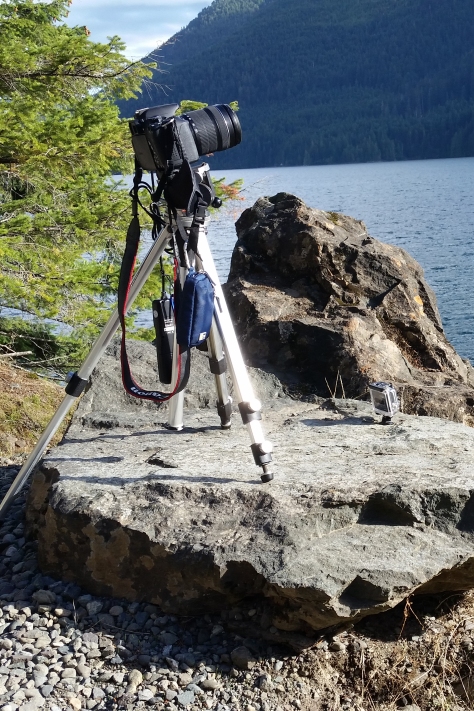 Cameras at Lake Cushman